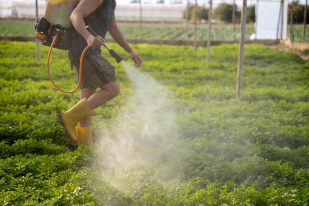 Best Exterminator Services  in , IA